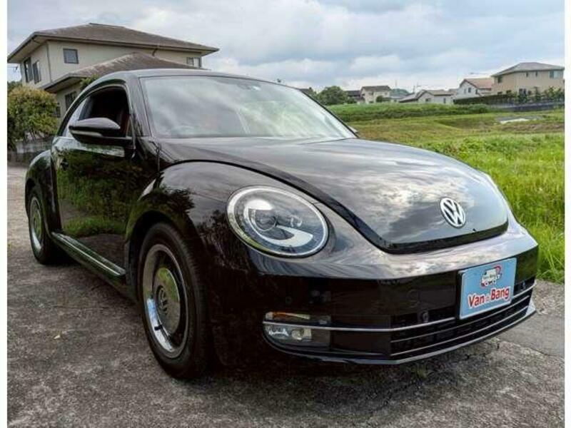 THE BEETLE