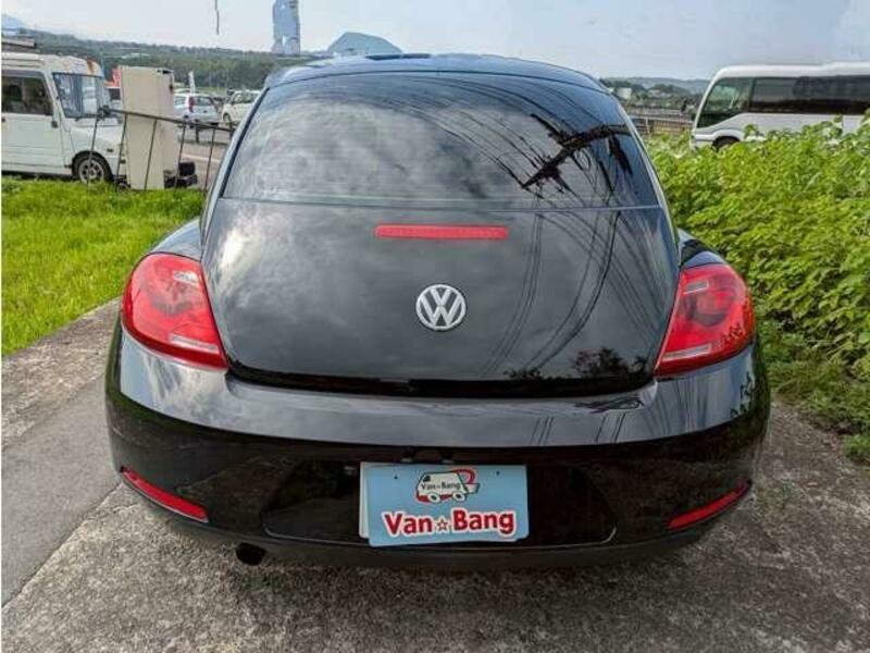 THE BEETLE