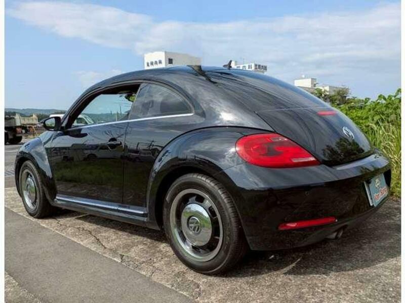 THE BEETLE