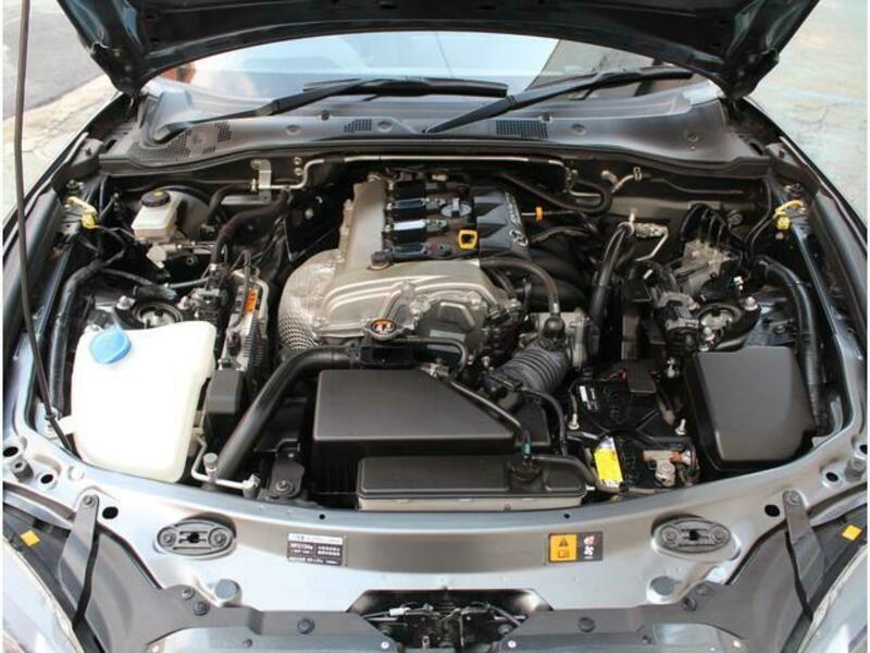 ROADSTER RF