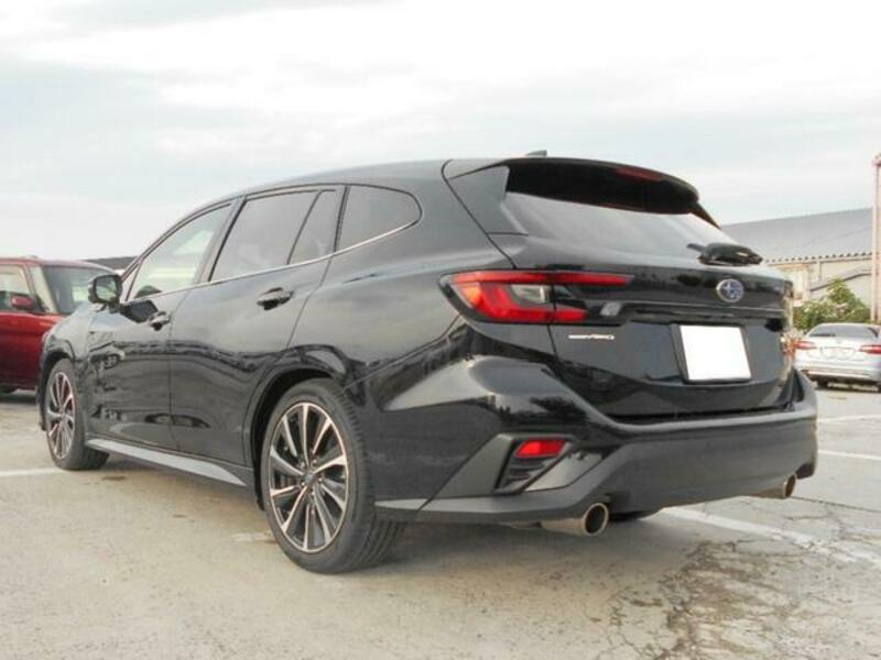 LEVORG