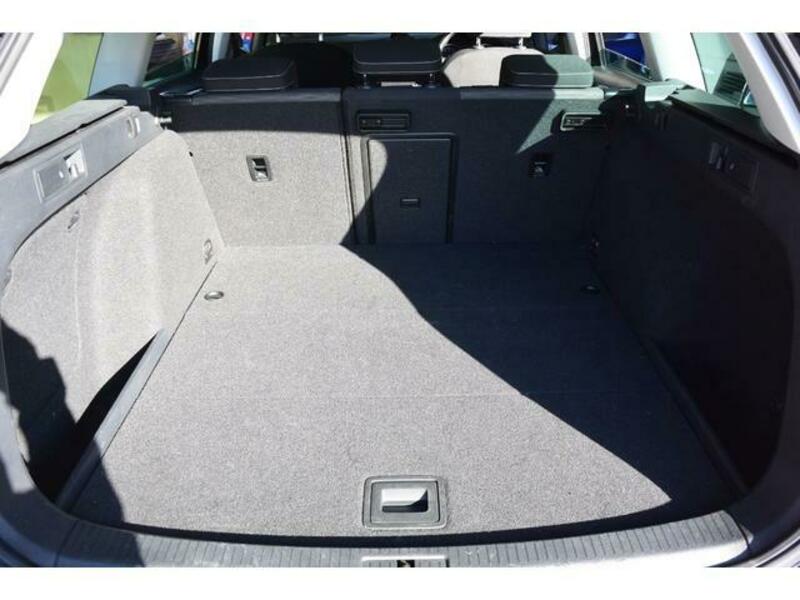 GOLF VARIANT