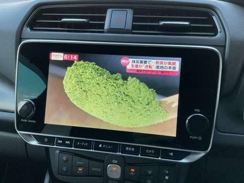 LEAF