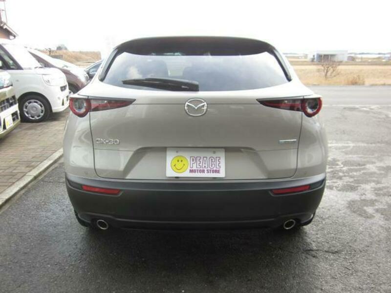 CX-30