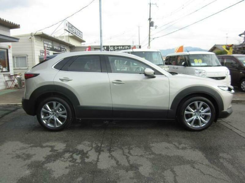 CX-30
