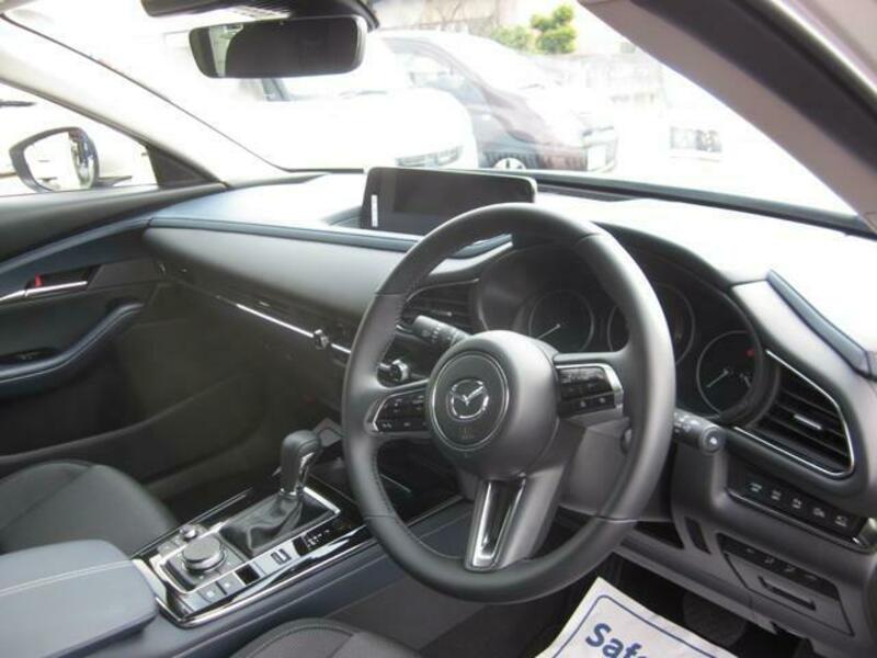 CX-30