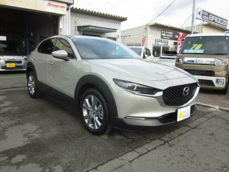 CX-30