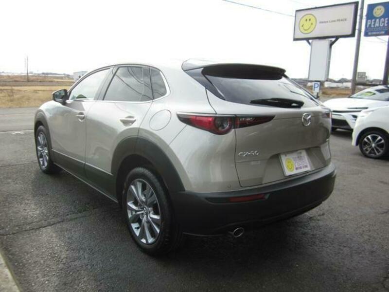 CX-30