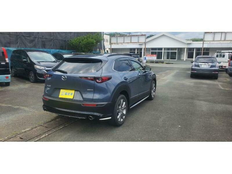 CX-30