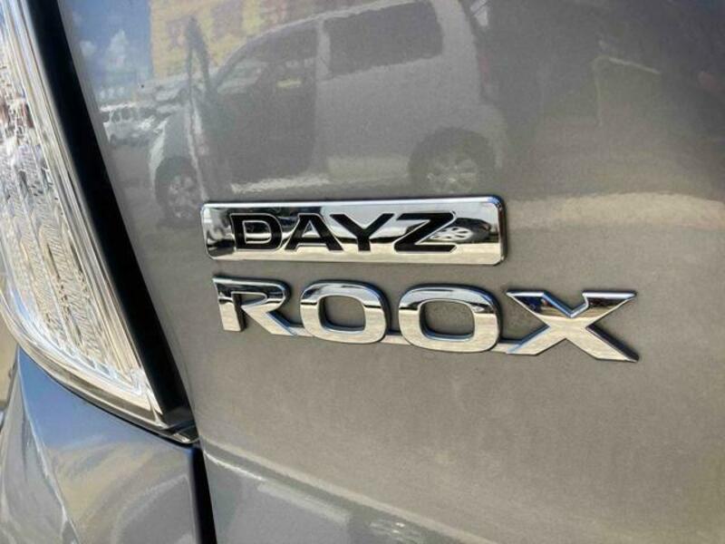 DAYZ ROOX
