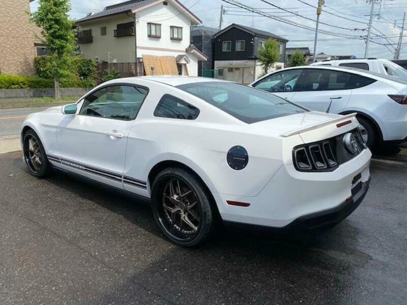 MUSTANG