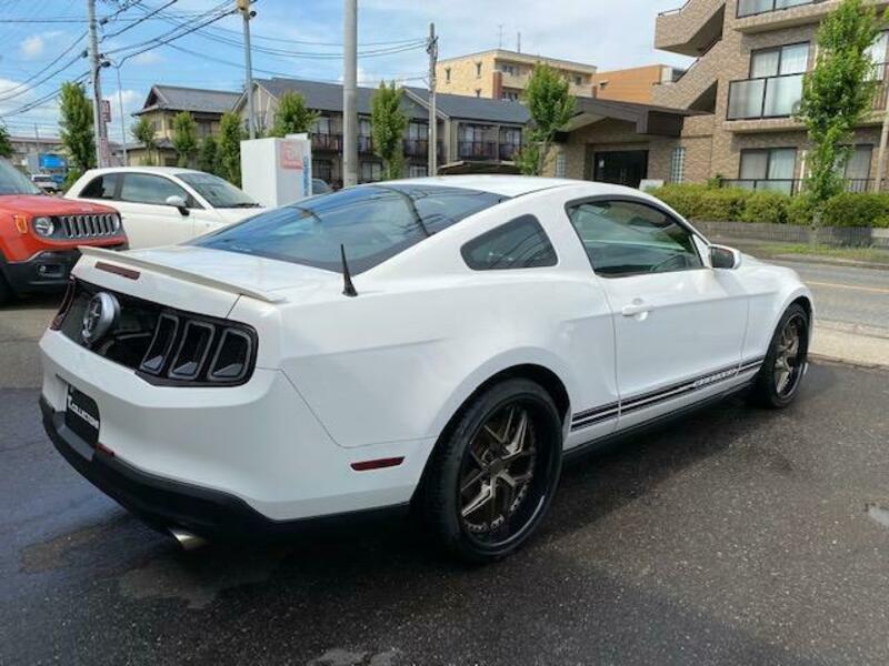 MUSTANG