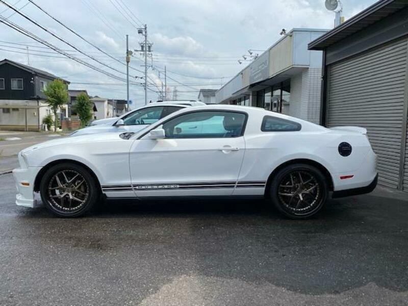 MUSTANG