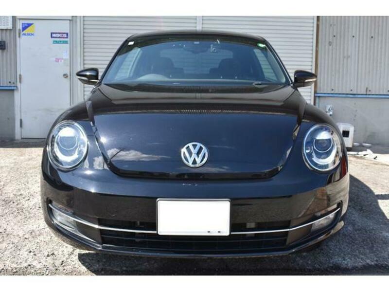 THE BEETLE