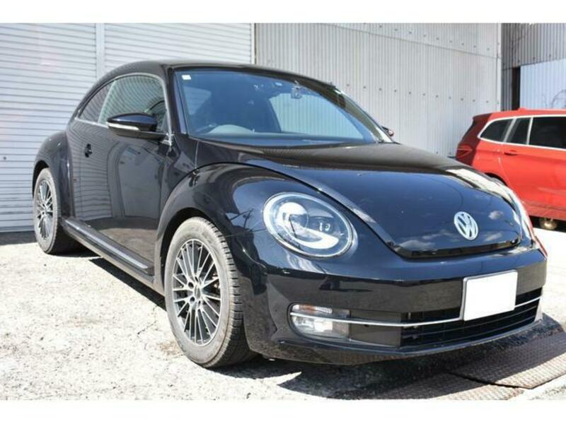 THE BEETLE