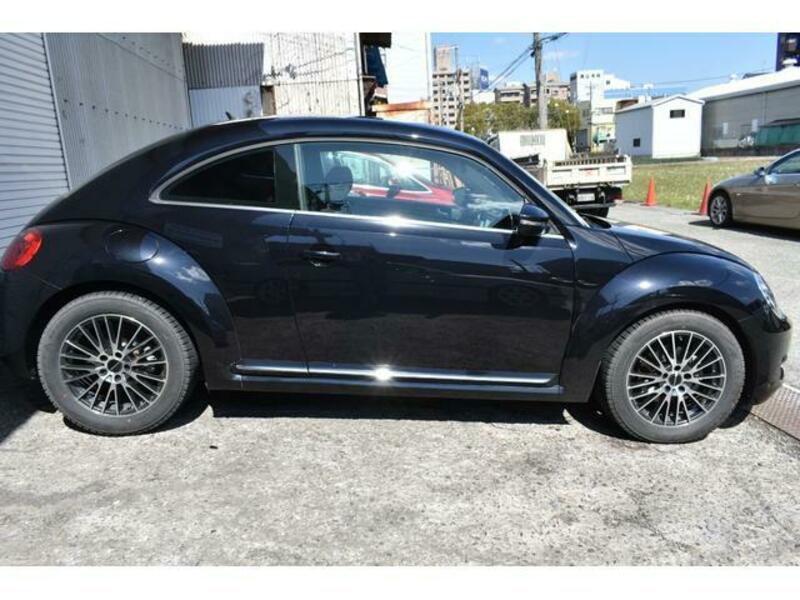 THE BEETLE