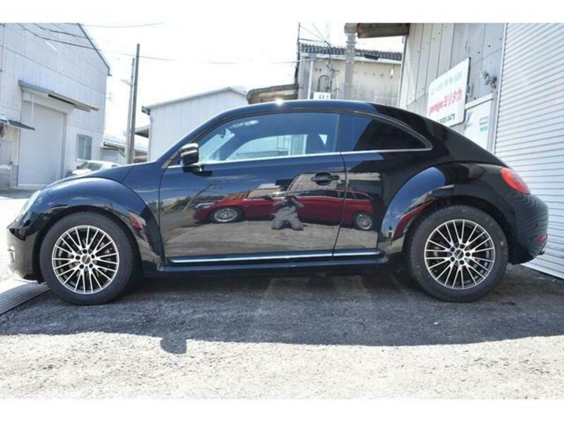 THE BEETLE
