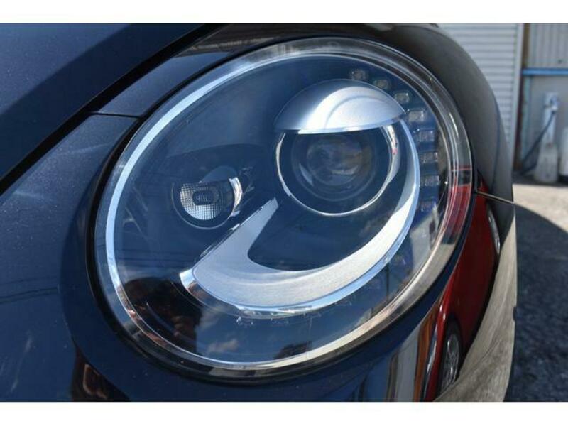 THE BEETLE