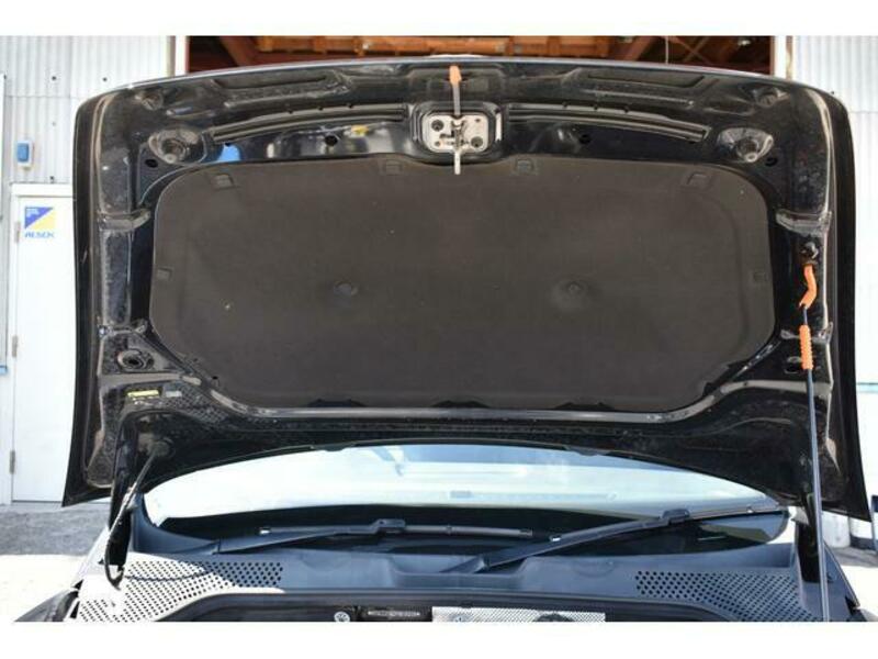 THE BEETLE