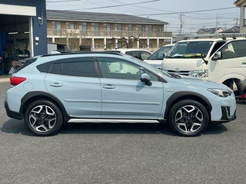 XV