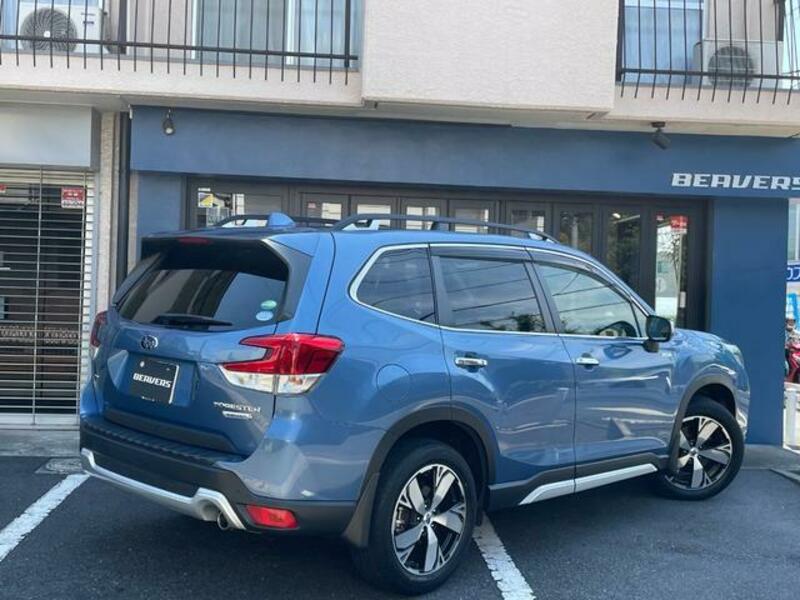 FORESTER