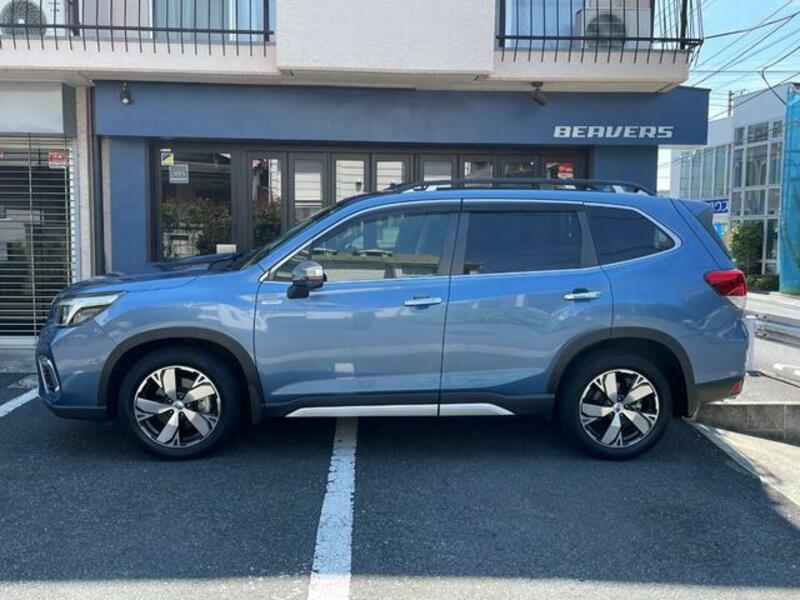 FORESTER