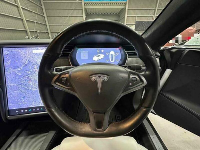MODEL S