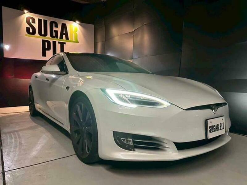 MODEL S