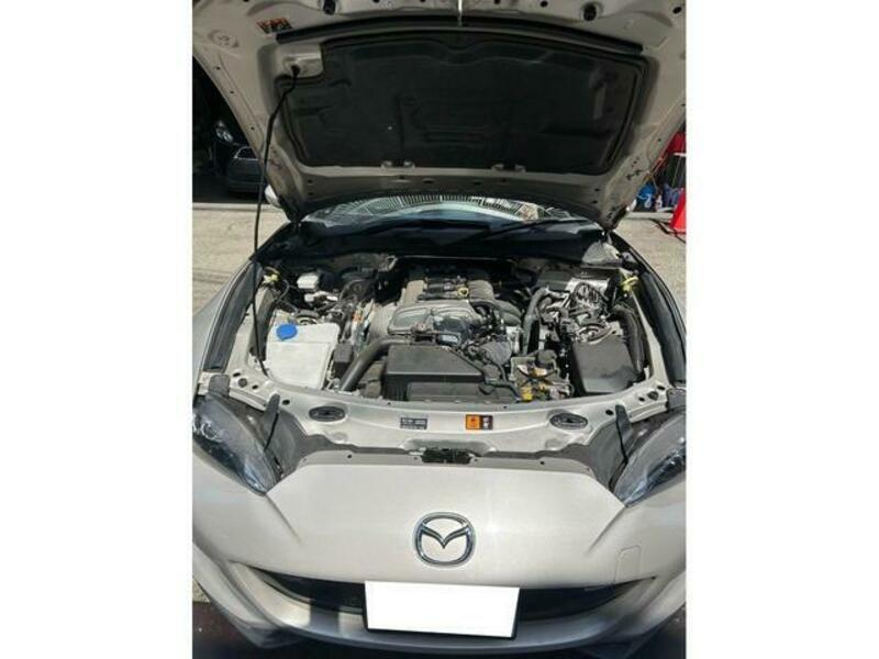 ROADSTER RF