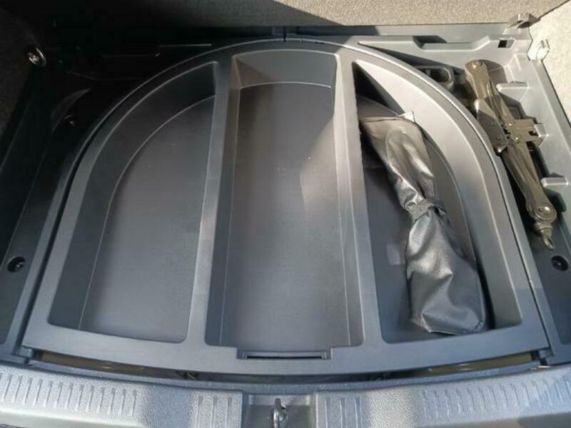 AURIS