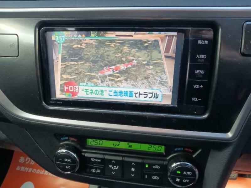 AURIS