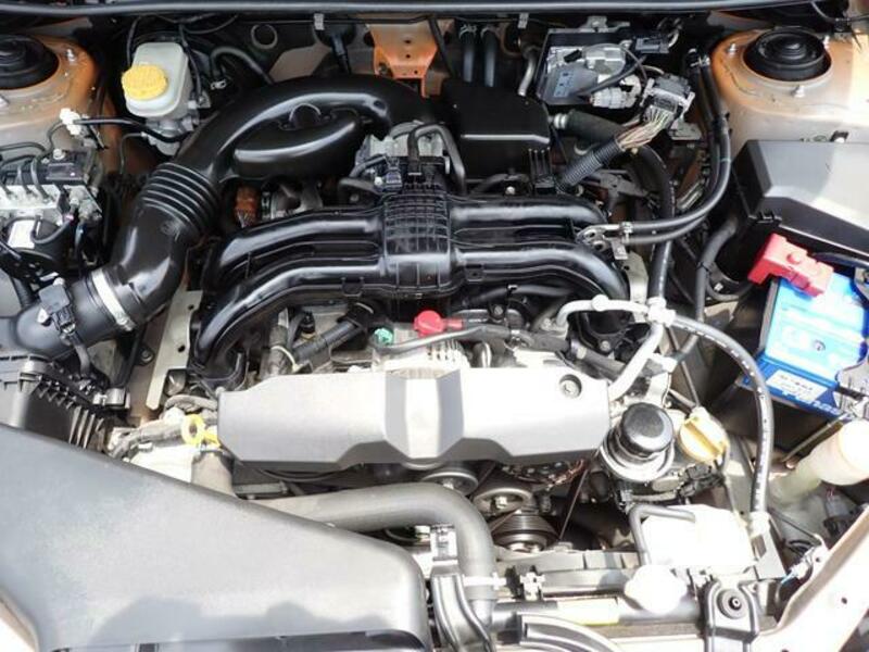 XV