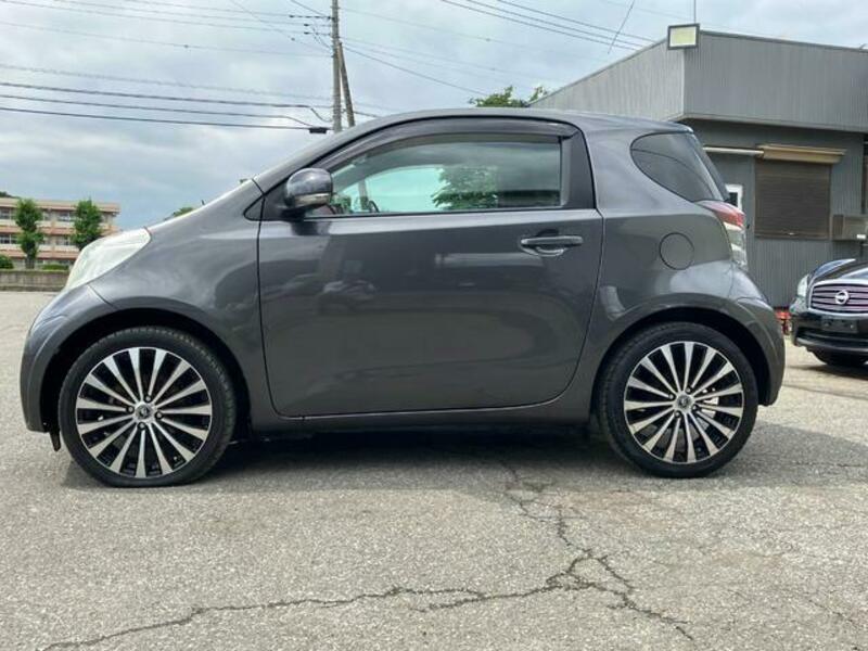 IQ