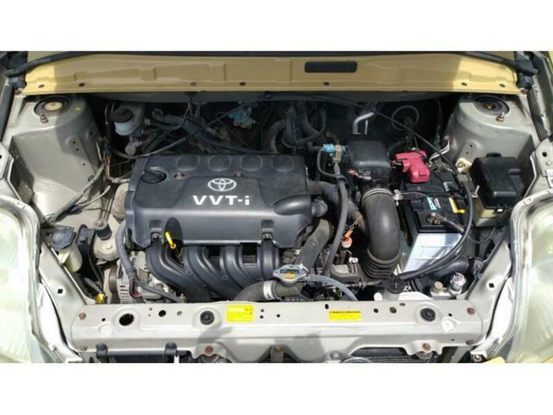 WILL VI