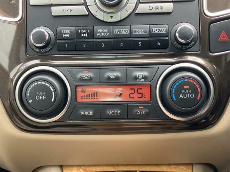 BLUEBIRD SYLPHY