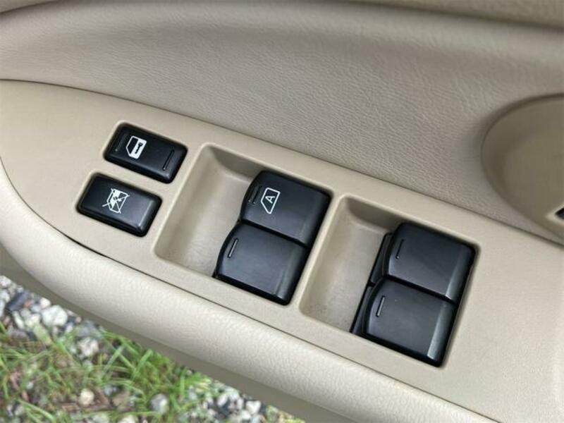 BLUEBIRD SYLPHY