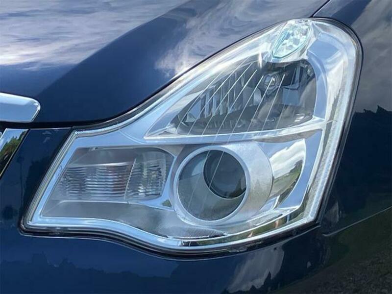 BLUEBIRD SYLPHY