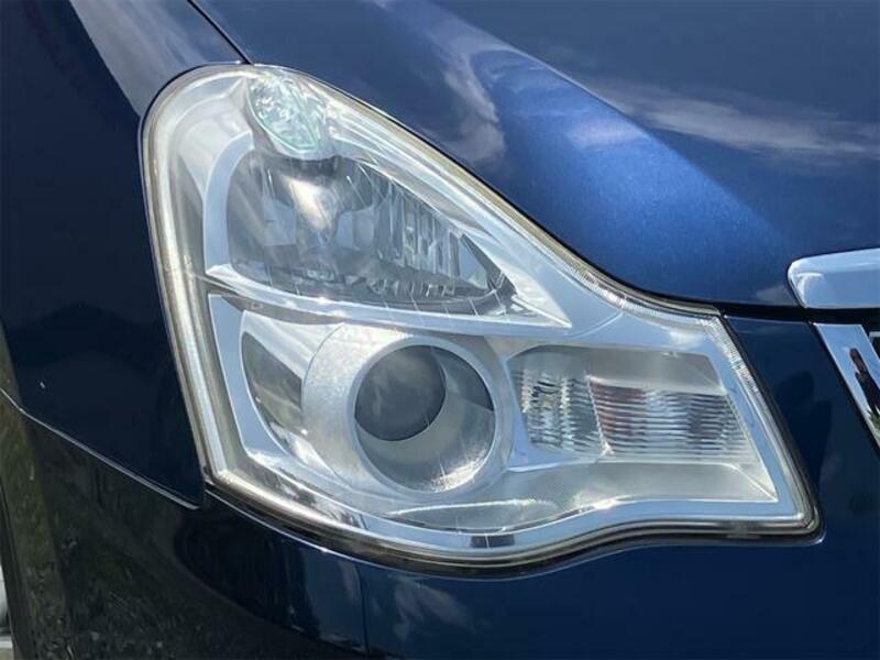 BLUEBIRD SYLPHY