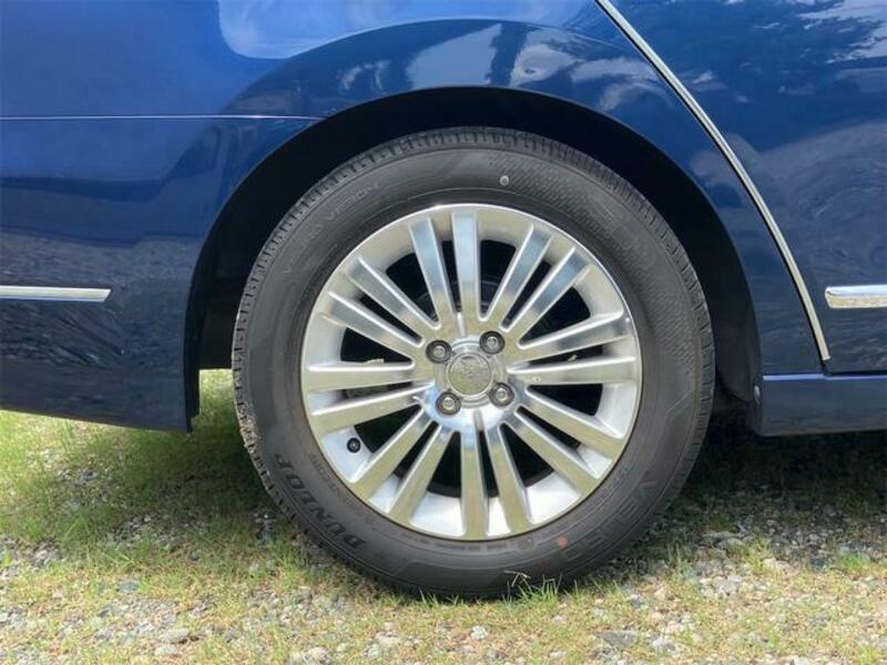 BLUEBIRD SYLPHY