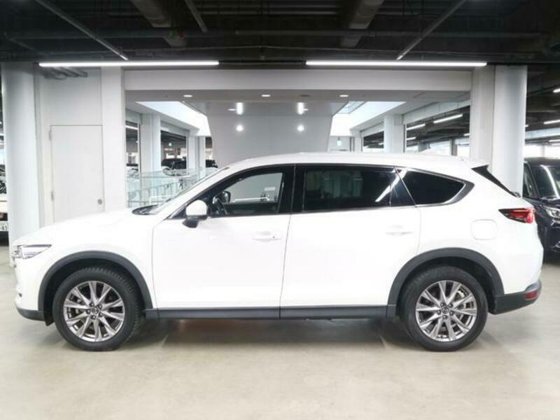 CX-8