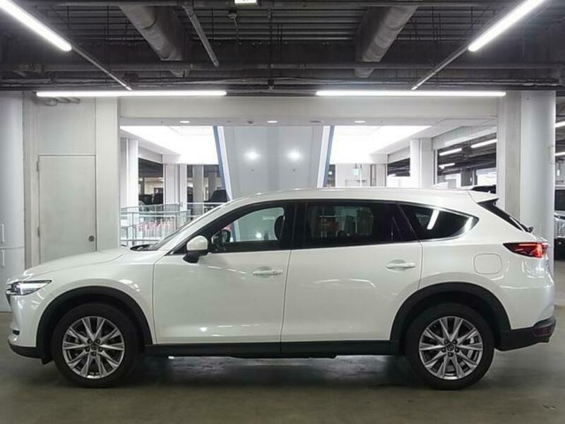 CX-8