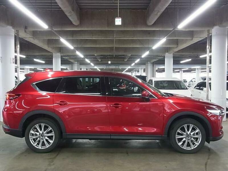 CX-8