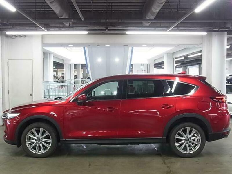 CX-8