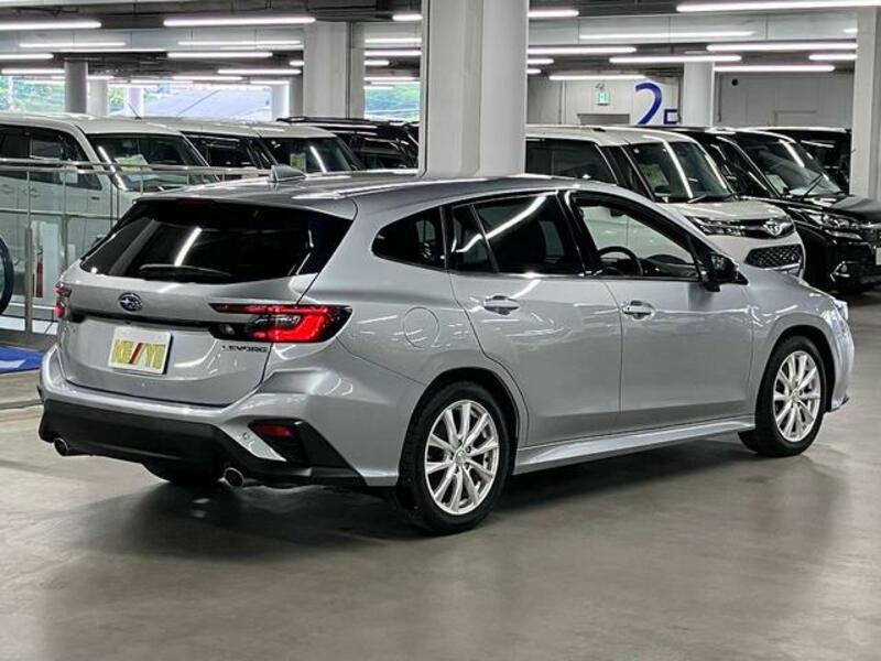 LEVORG