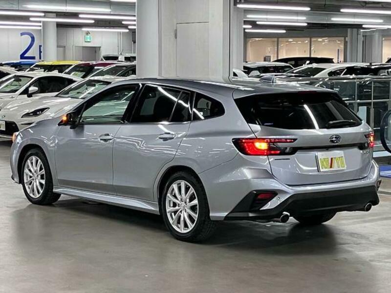 LEVORG