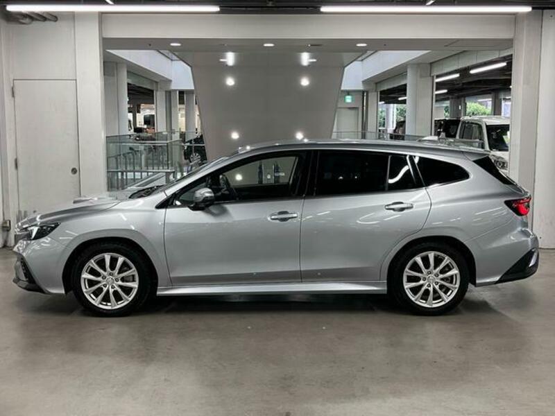 LEVORG