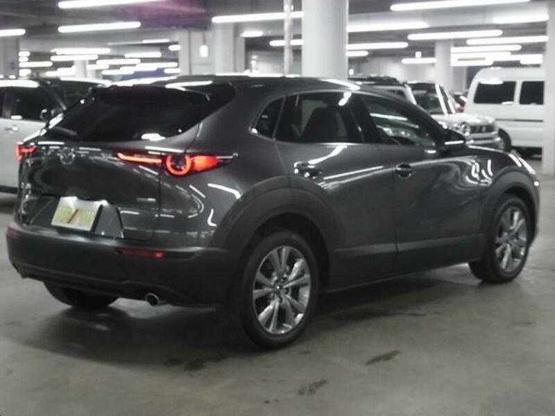 CX-30