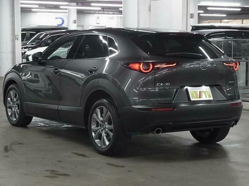 CX-30