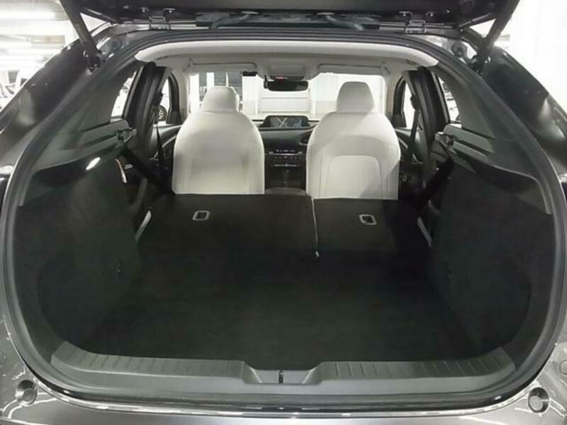 CX-30