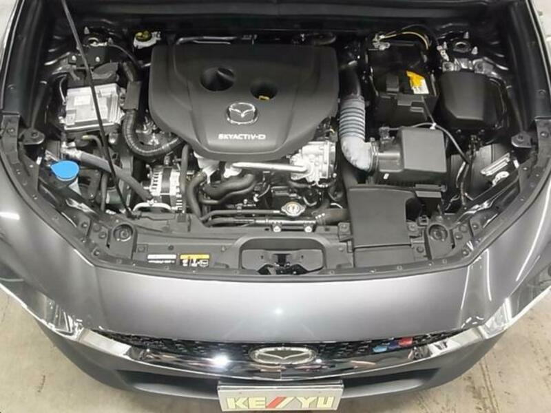 CX-30